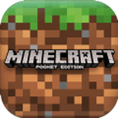 Minecraft Internationale Version 1.16.331.16.201.01