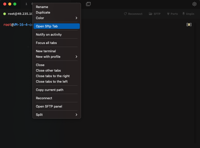 tabby-sftp-tab using_context_menu