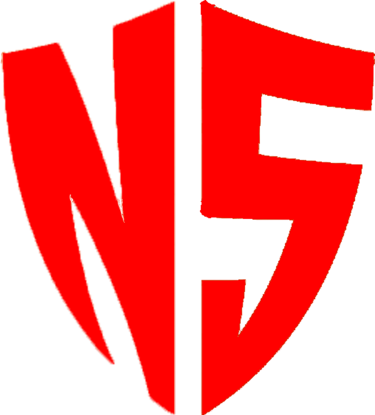 Logo NumSpy