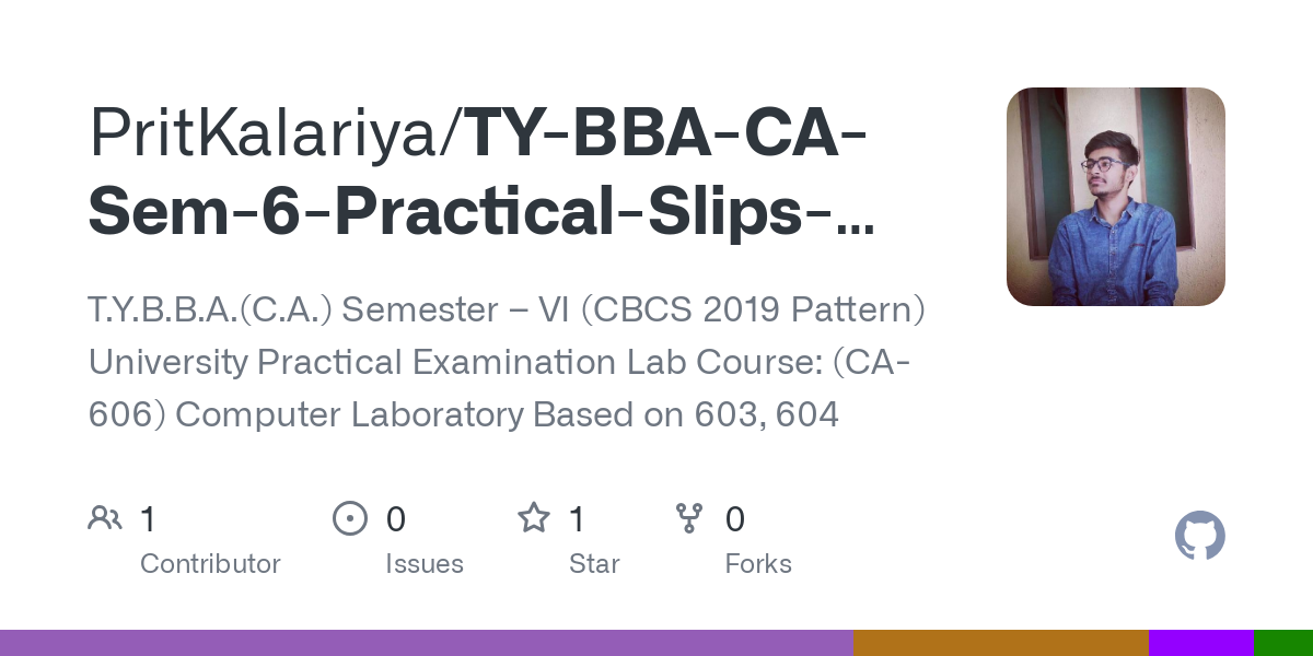 TY BBA CA Sem 6 Practical Slips and Lab Book