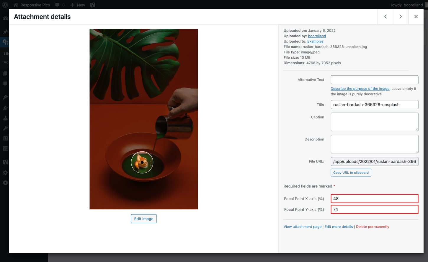 Attachment Details Focal Point Picker