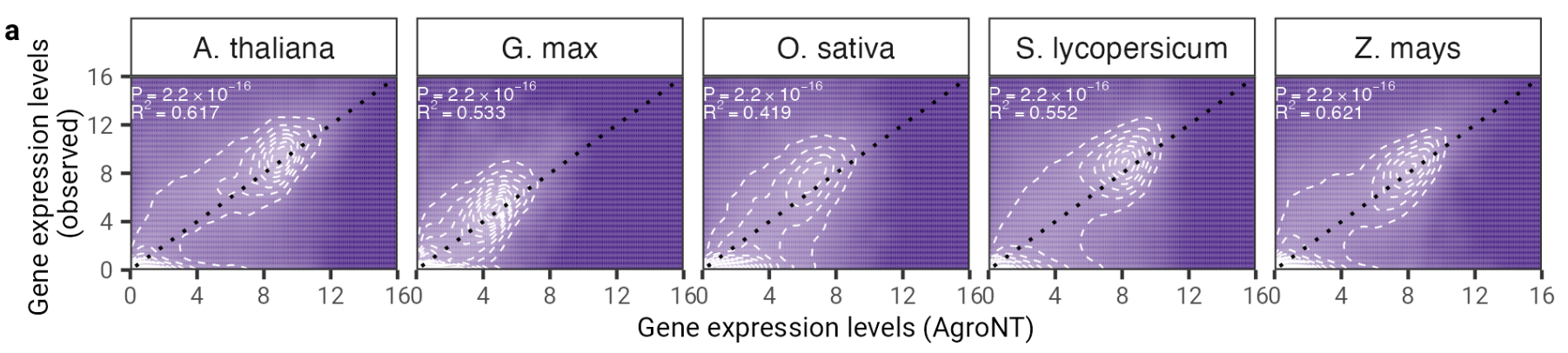 遺伝子発現における AgroNT のパフォーマンス