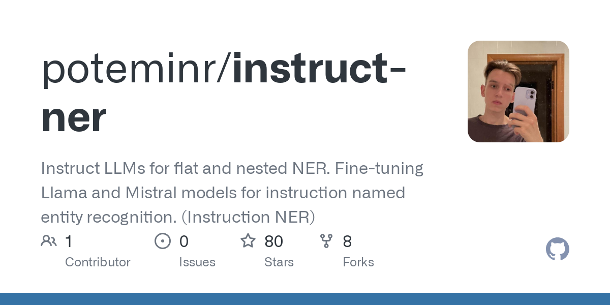 instruct ner