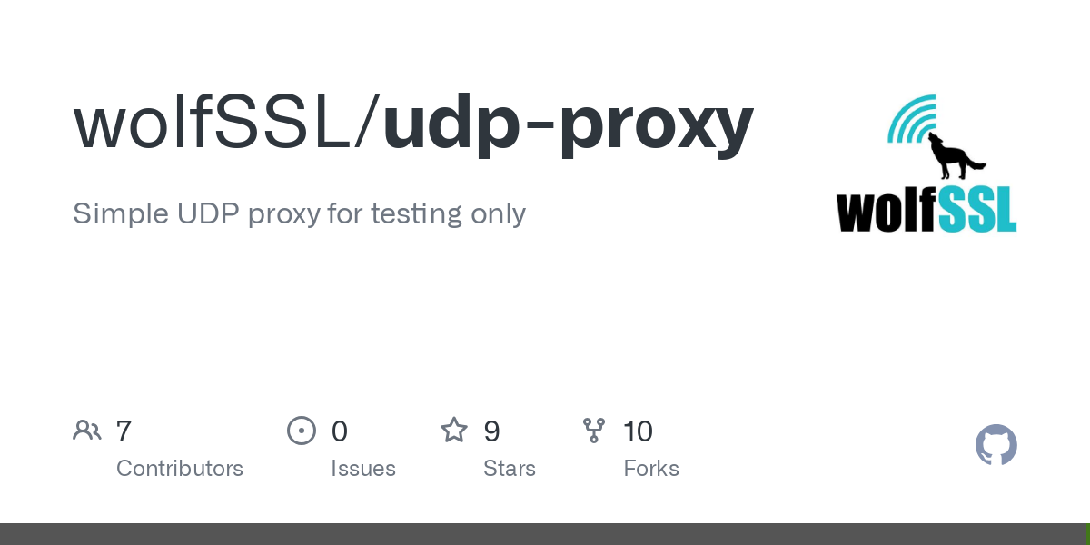 udp proxy