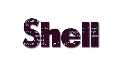 Introduction to Shell