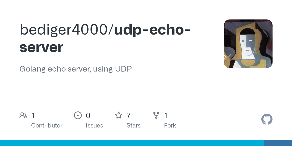 udp echo server