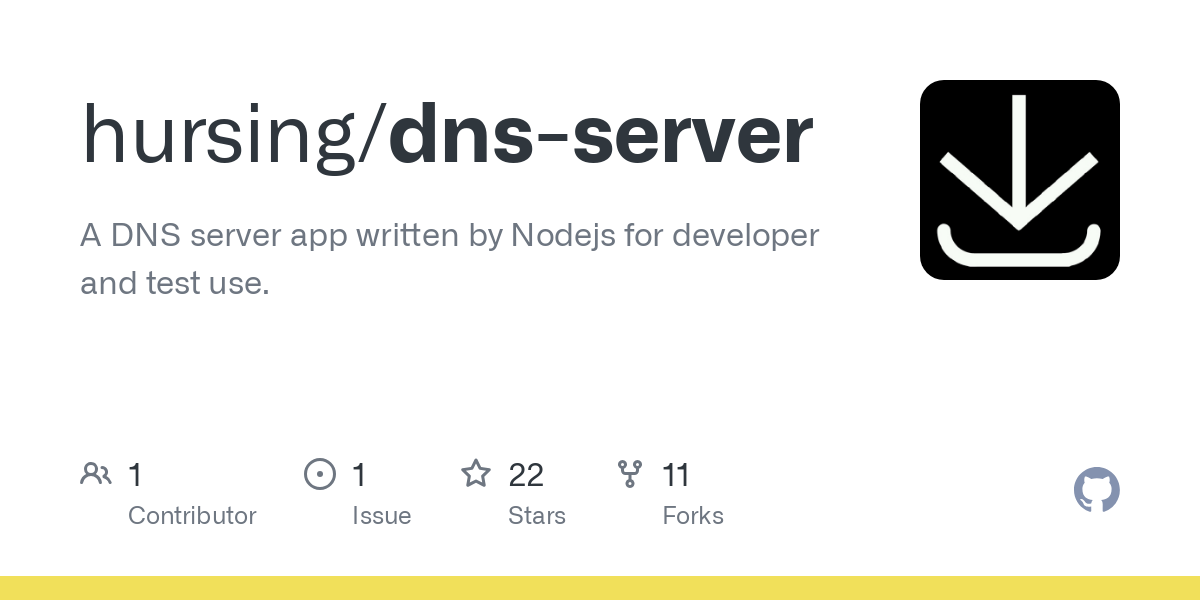 dns server