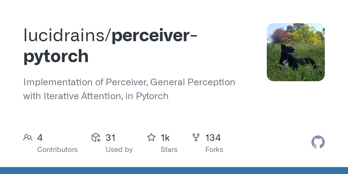 perceiver pytorch