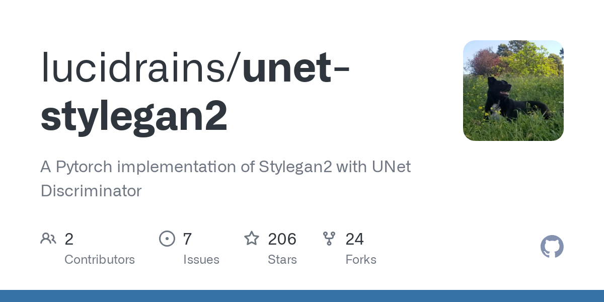 unet stylegan2