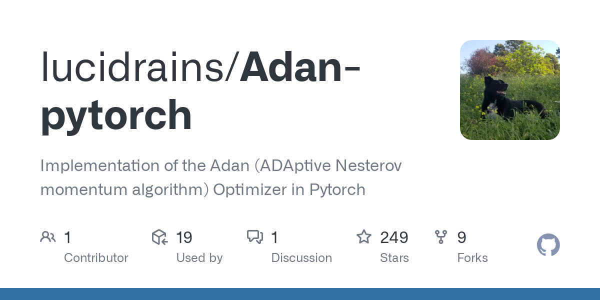 Adan pytorch