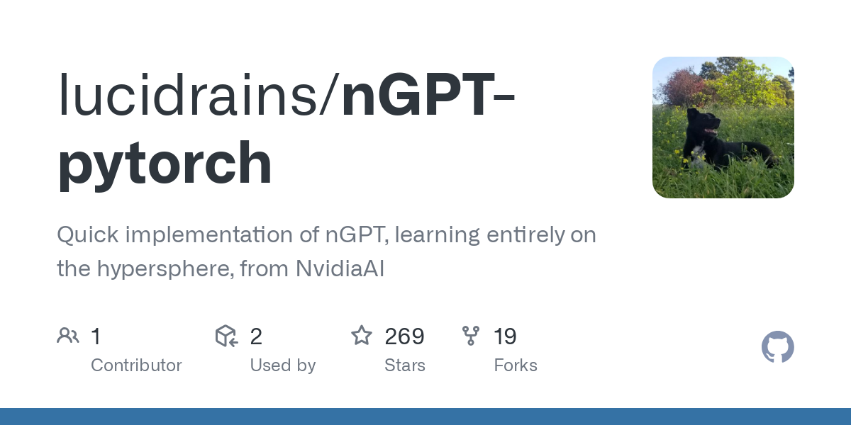 nGPT pytorch