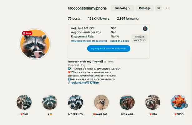 Crie um IP quente de 0 a 1! O Tutorial de Vídeo de Selfie do RaCcoon da Popular INS aumentou 133.000 fãs em 3 meses - artigos de IA