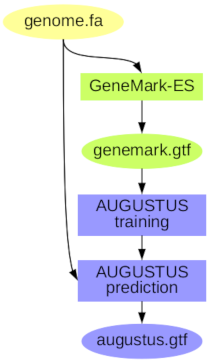 braker2-main-a[fig1]