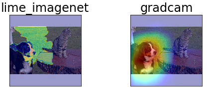 CNN -Vorhersage Erklärung