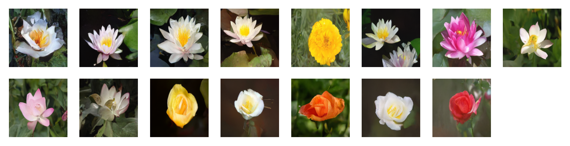 CFG를 가진 Eulera