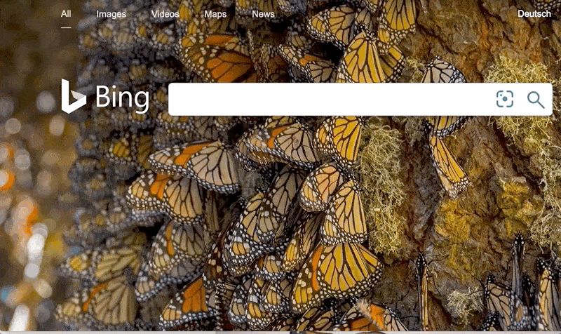 Bing과 함께 IP 주소로 검색하십시오