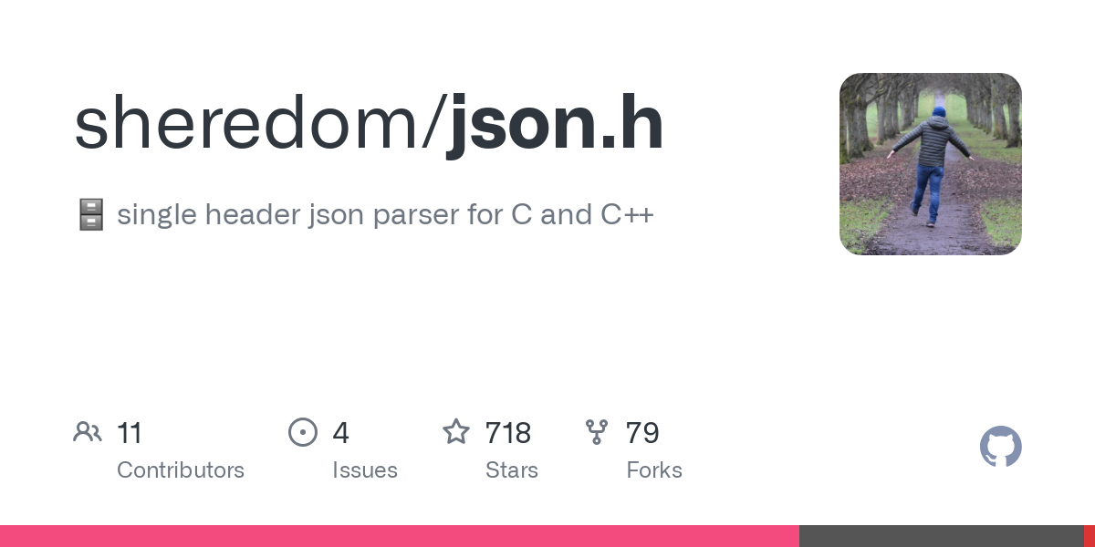 json.h
