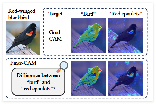 "ดวงตาไฟ" ในโลก AI! Finer -Cam ทำให้ AI เข้าใจภาพที่แม่นยำยิ่งขึ้นและการจำแนกประเภทนั้นชัดเจนขึ้น - บทความ AI