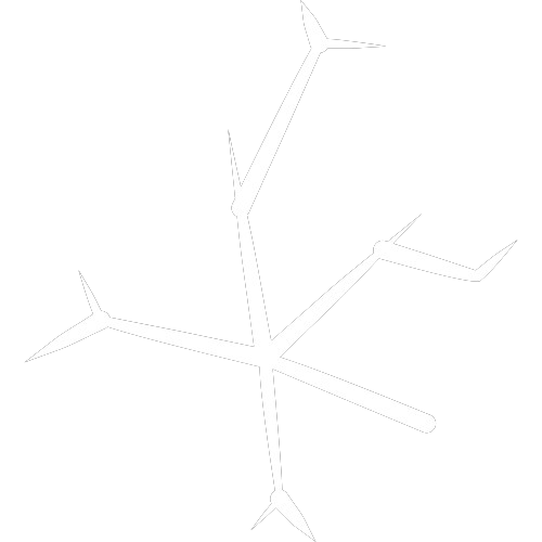 Темный логотип