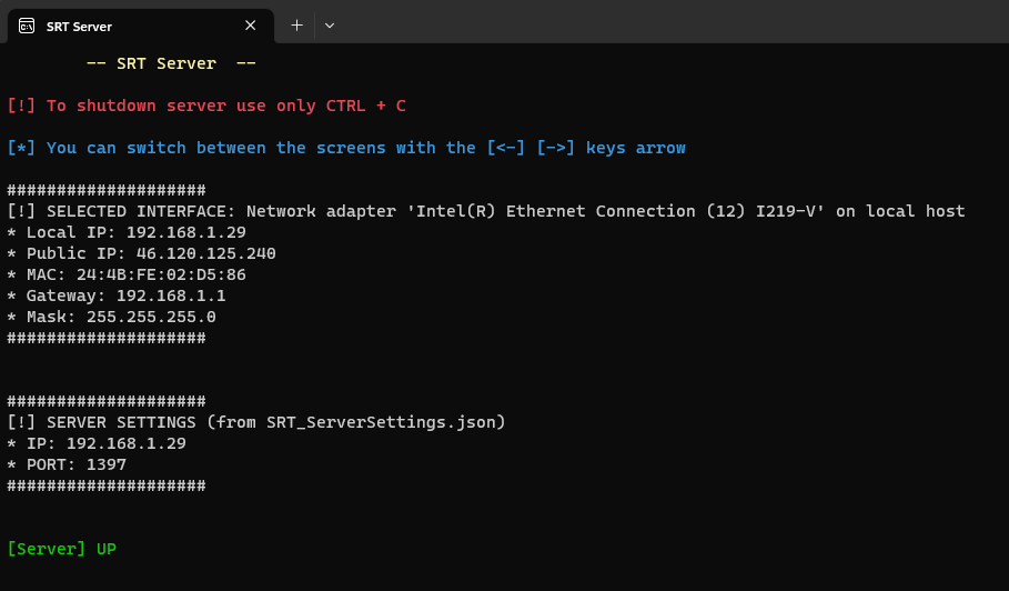 Скриншот консоли
