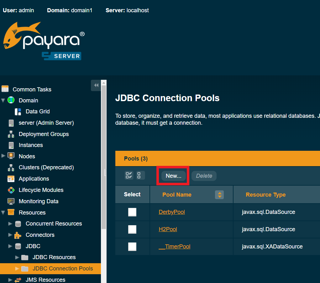 Payara- 새로운 연결 풀 생성