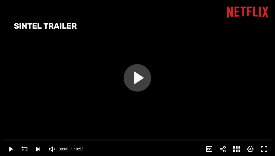 JW Player Netflix Skin