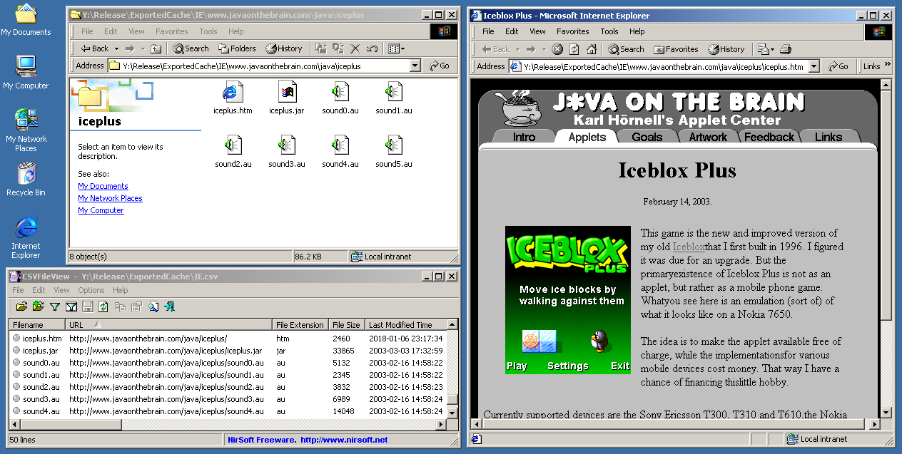 从Internet Explorer的缓存中恢复的网络游戏。