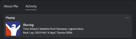Screenshot des Rennstatus