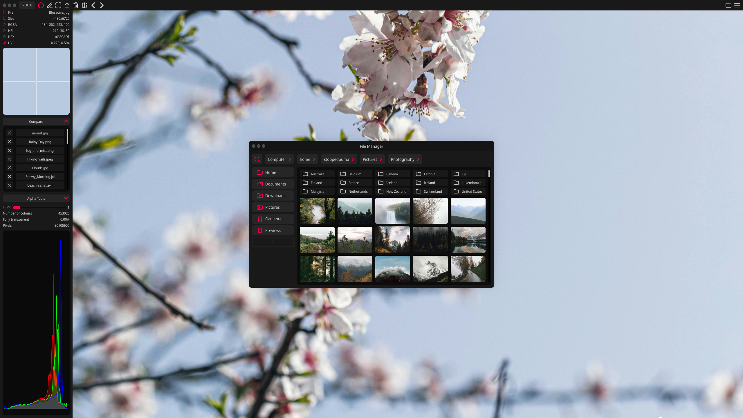 لقطة شاشة Screenshot
