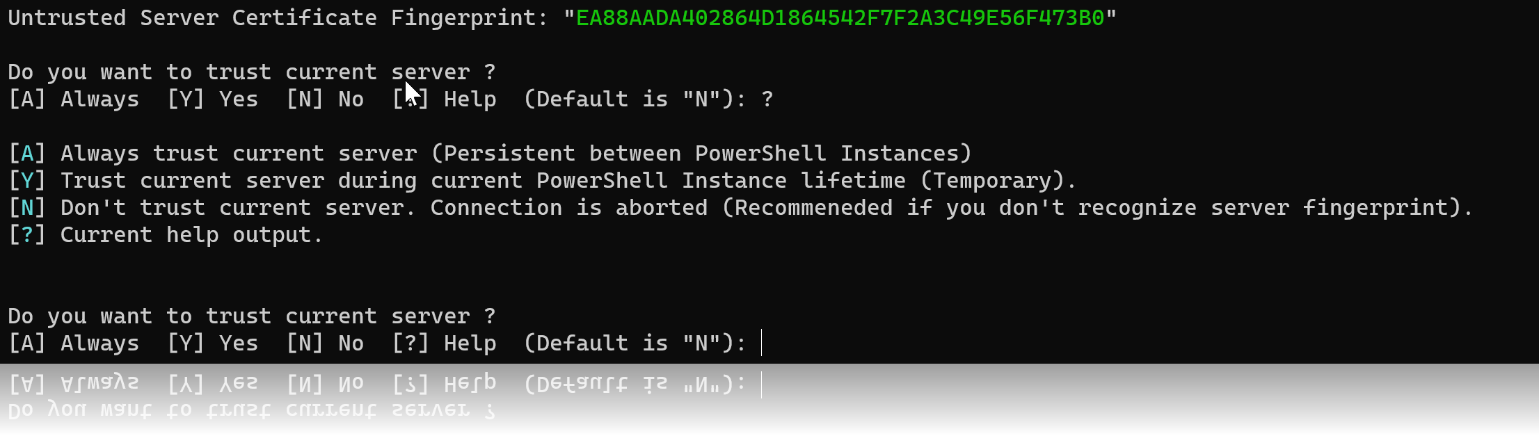 Server -Fingerabdruck -Validierung