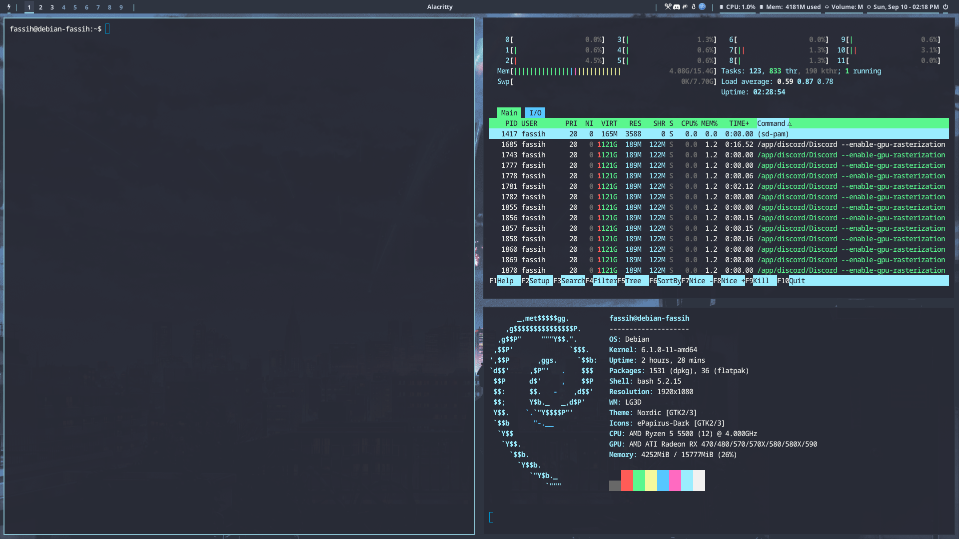 ديبيان فاسيه