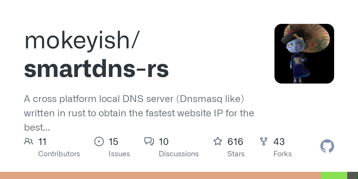 smartdns rs