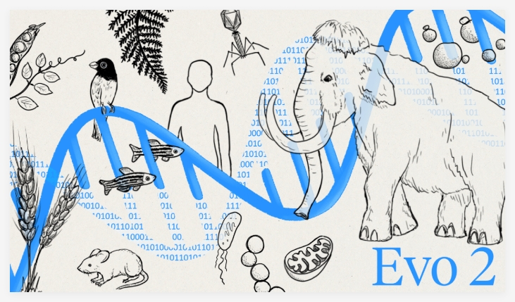 Nvidia และ ARC Institute ร่วมกันปล่อยโมเดล AI ทางชีวภาพที่ใหญ่ที่สุดในโลก EVO2 เพื่อช่วยวิจัยและออกแบบจีโนม - บทความ AI