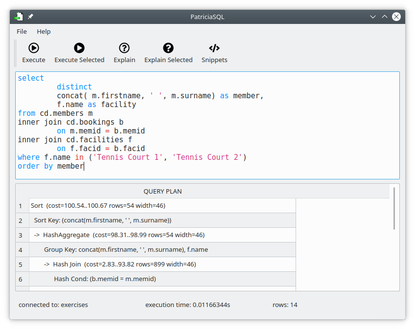 patriciasql_main_window_explain