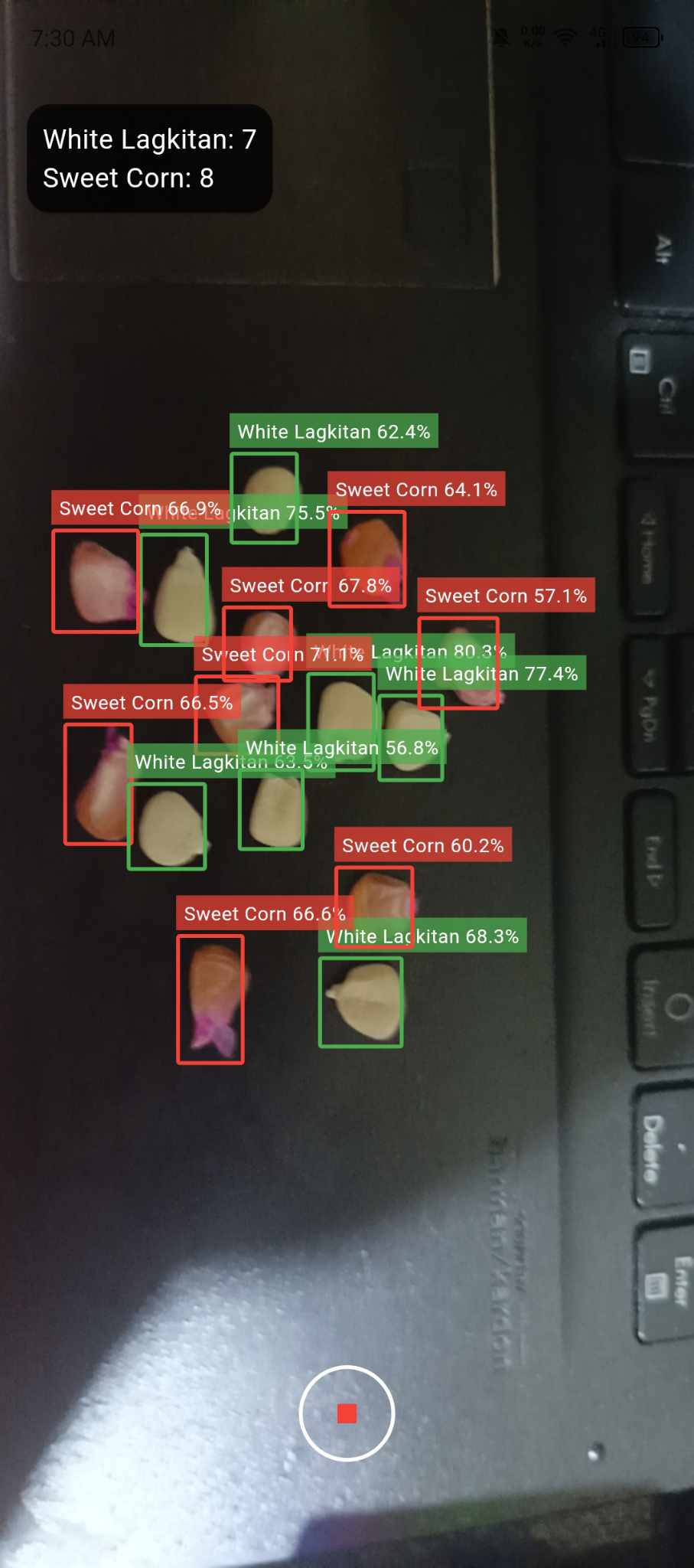옥수수 형 감지