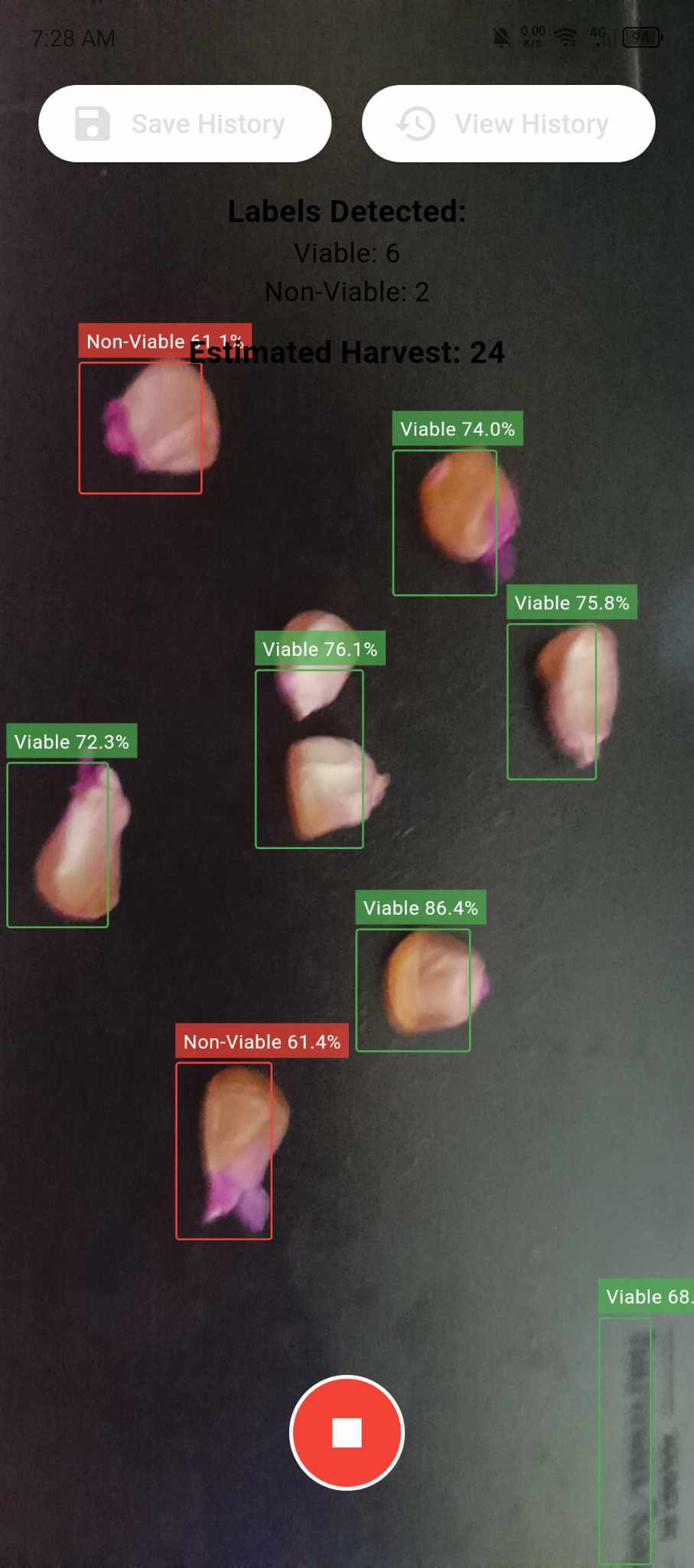옥수수 생존 성 검출