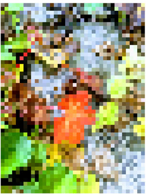 픽셀 화 된 이미지 샘플