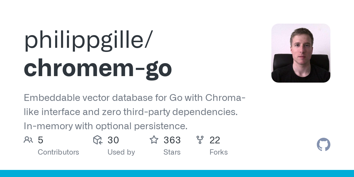 chromem go