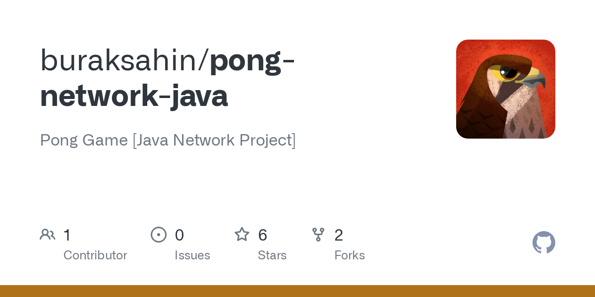 pong network java