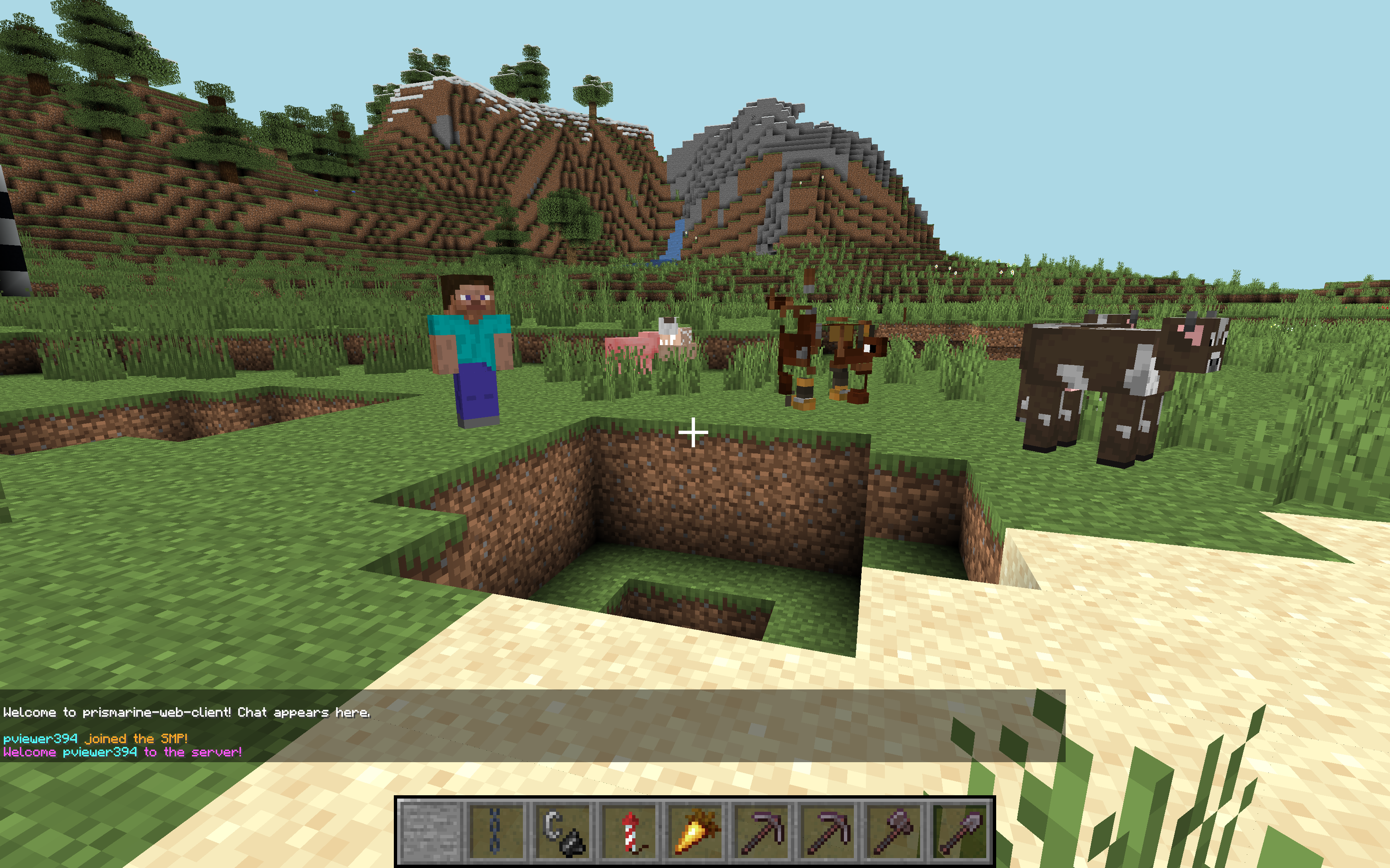 Prismarine-Web-Client的屏幕截圖
