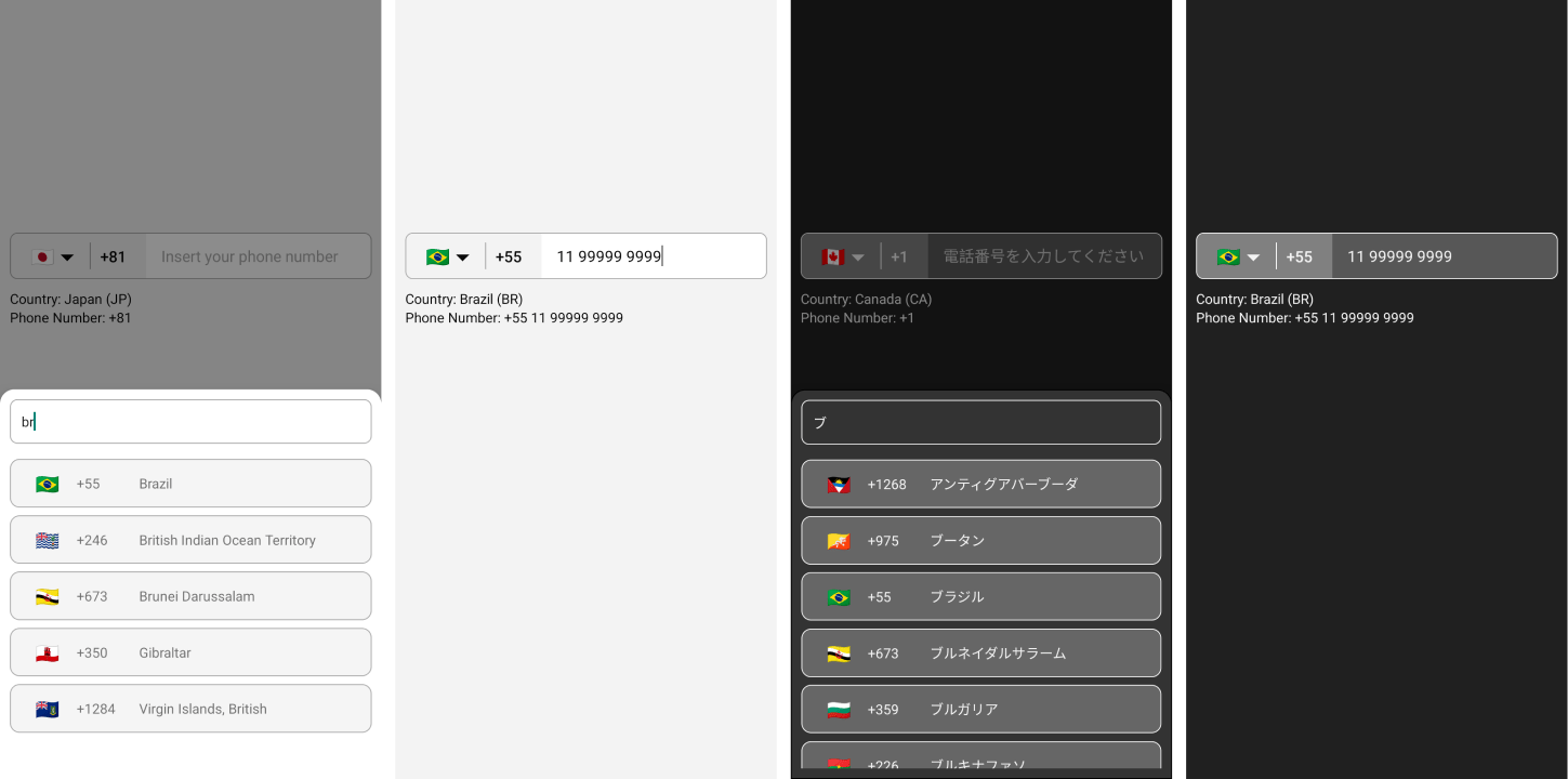 反應本地國際電話號碼輸入lib預覽