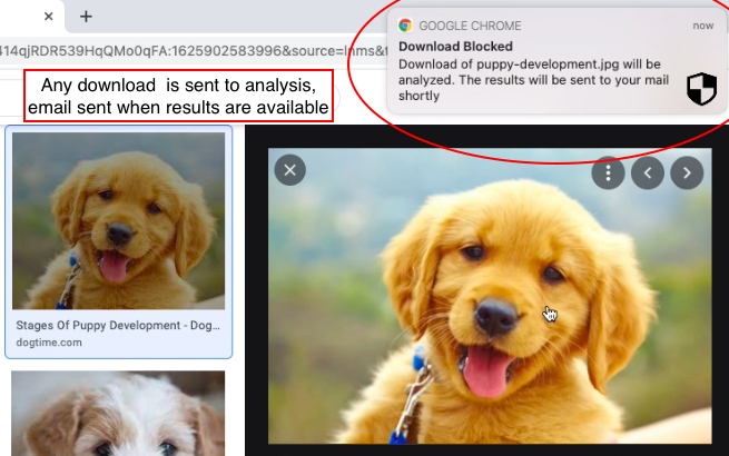 6屏幕截圖2021-07-10在09 39 11