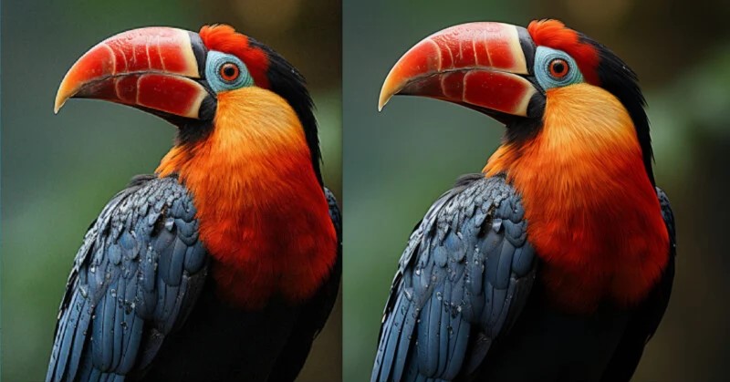 Visionsoc输出比较