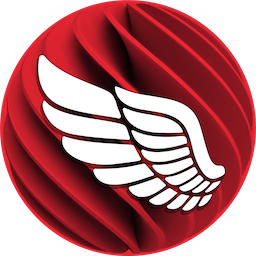 Embarcadero Rad Server