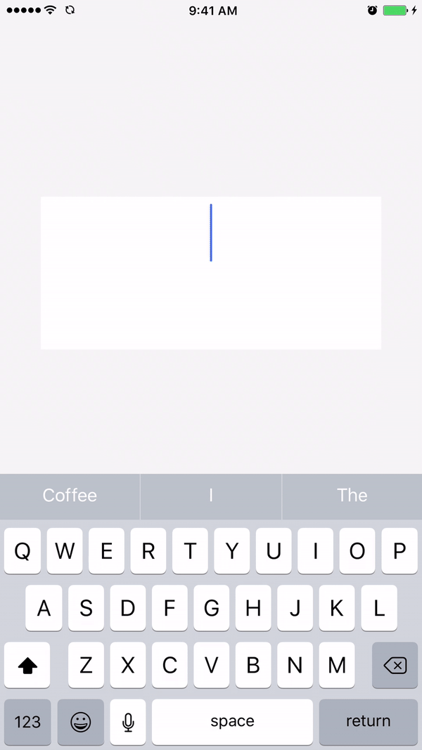 NSJFontResizingUITextView