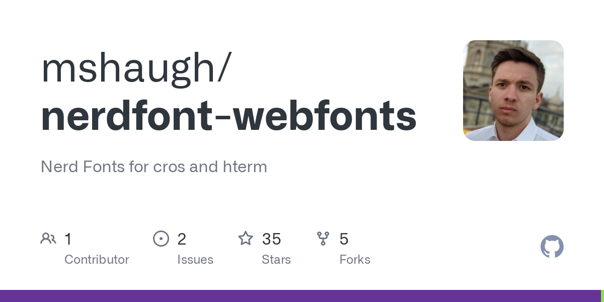 nerdfont webfonts