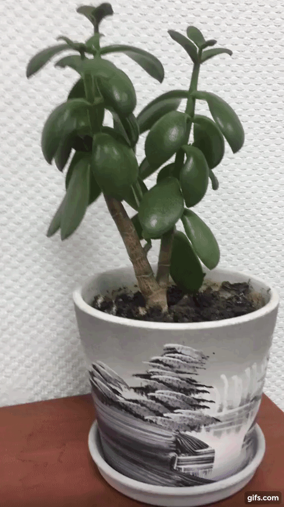 Agimagecontrols演示