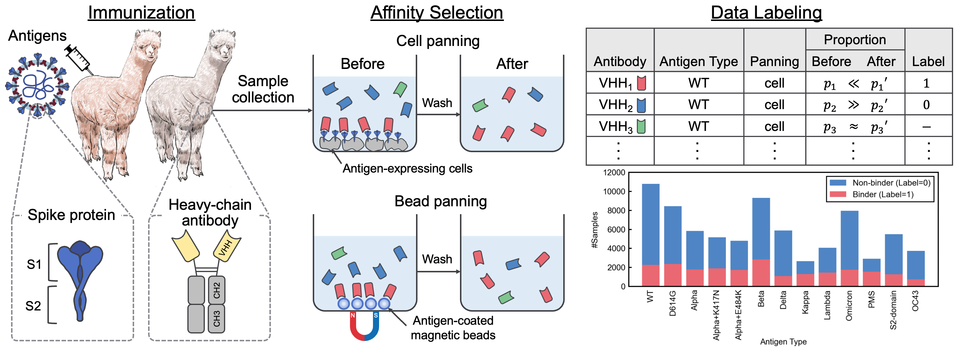 dataset-generation-overview
