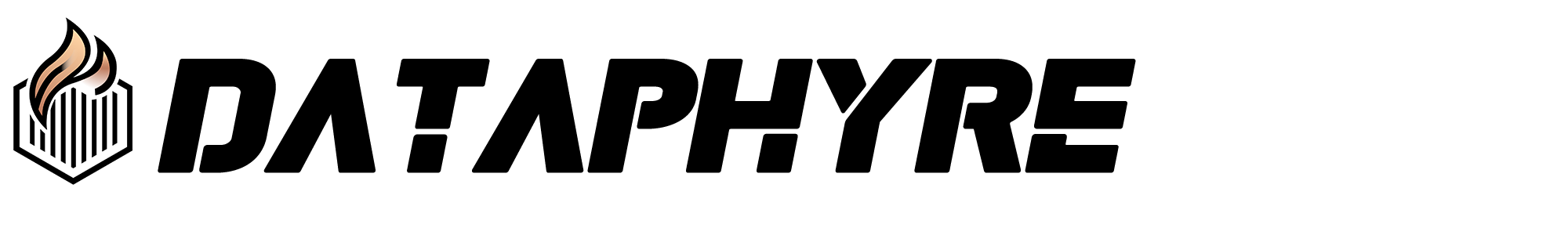 Dataphyre Logo